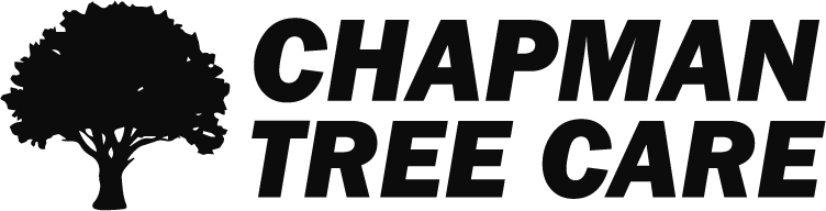 CHAPMANTREECARELOGO